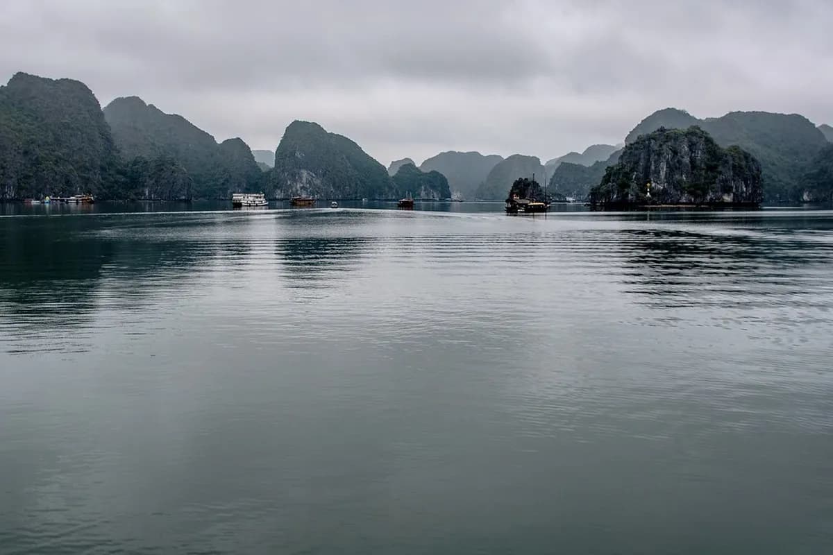 Ha Long Bay Or Cat Ba Travel Guide