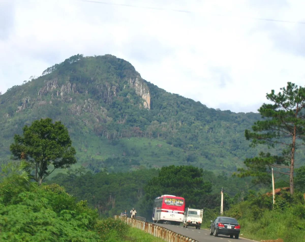 Ho Chi Minh City to Da Lat Travel Guide