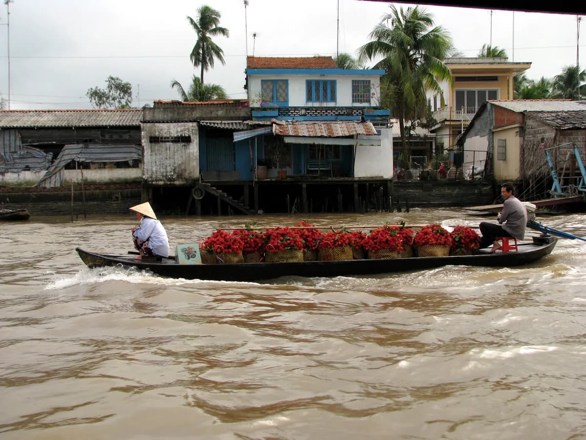 Ho Chi Minh City to Mekong Delta: 2026 Travel Guide