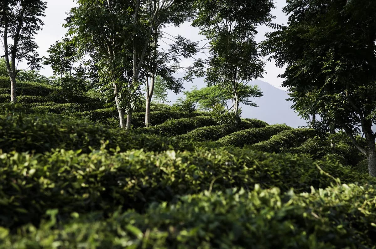 7-Day Northern Vietnam Itinerary: Complete Guide