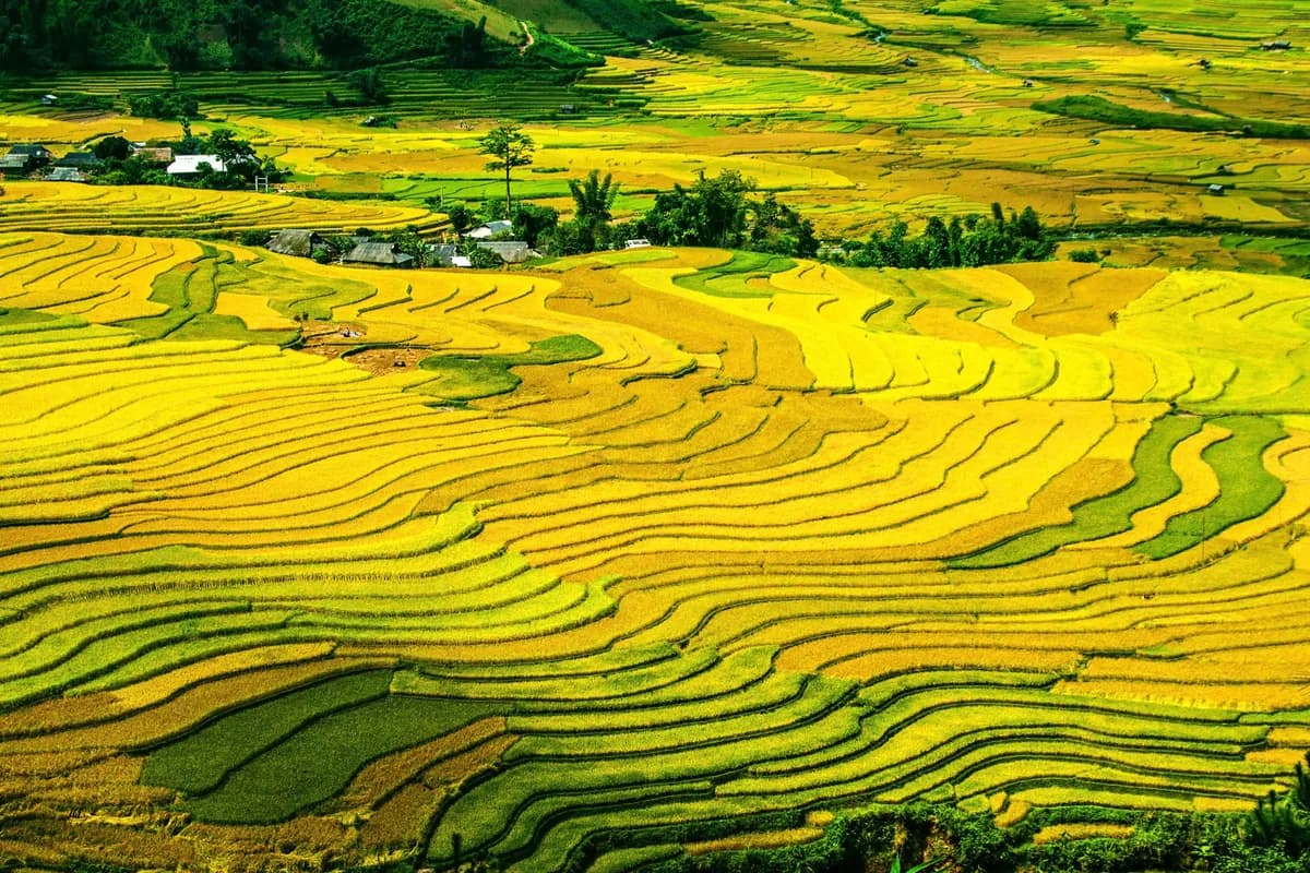 Vietnam One Month Itinerary Travel Guide