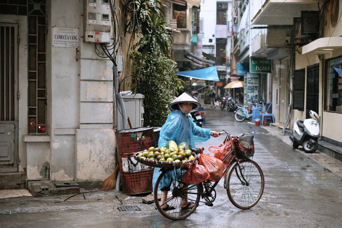 Vietnam Rainy Season Travel Guide: Best Times & Tips