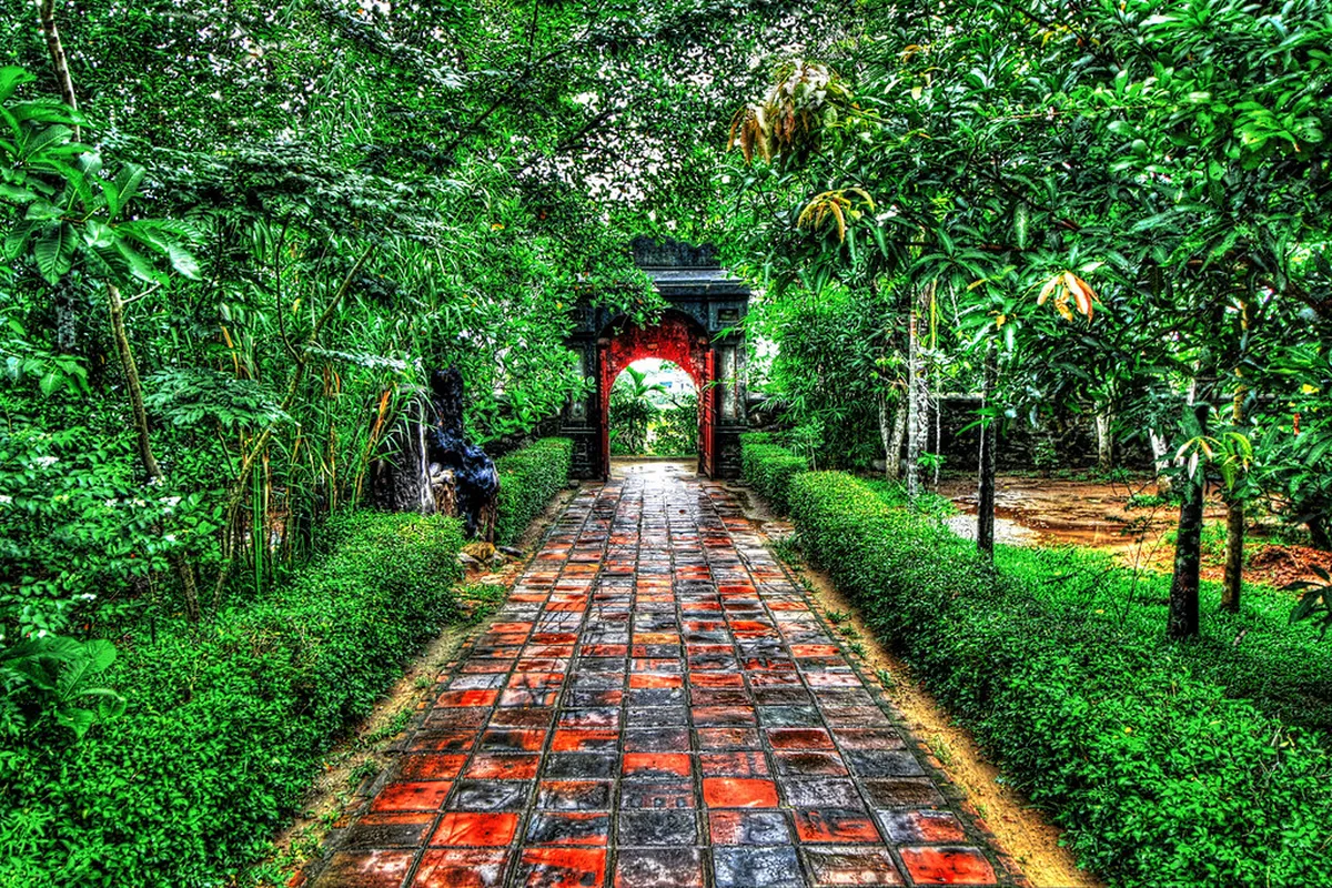 Inter-City Travel: Flights, Trains, and Buses in Central Vietnam, contextual view for travelers planning a trip in Vietnam