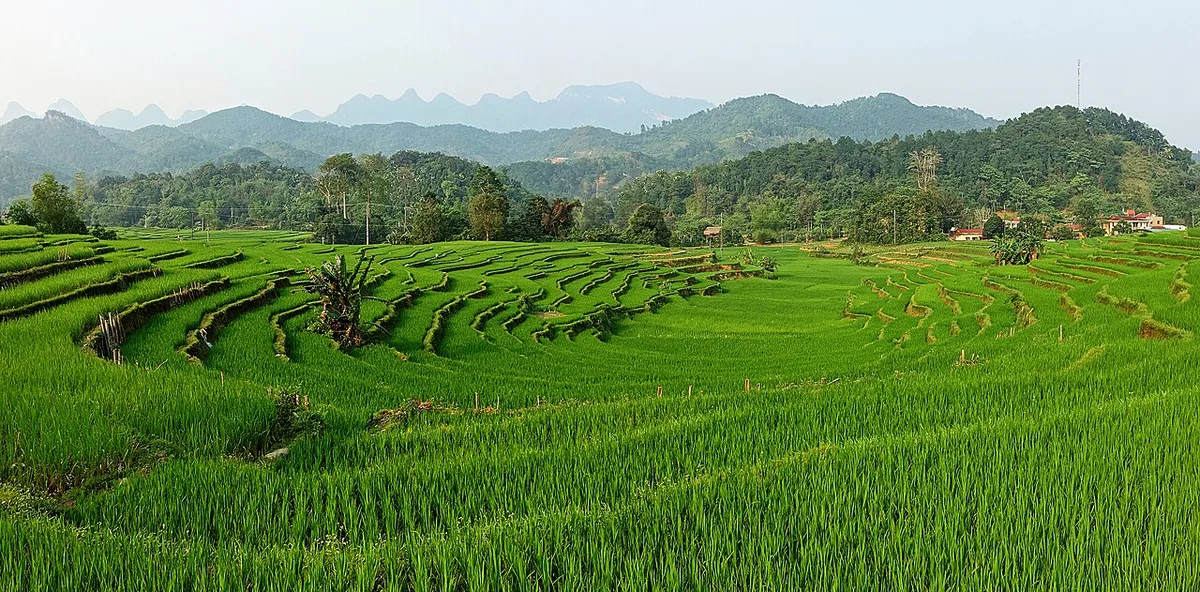 Ha Giang rizieres bis, shown in the Ha Giang Loop Itinerary: At a Glance (4 Days) section of this Vietnam travel guide