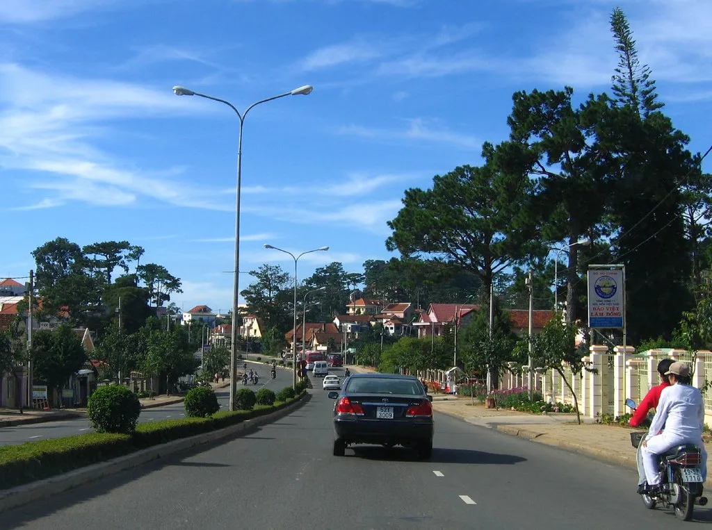 Traffic entering Da Lat on a divided highland road lined with pine trees
