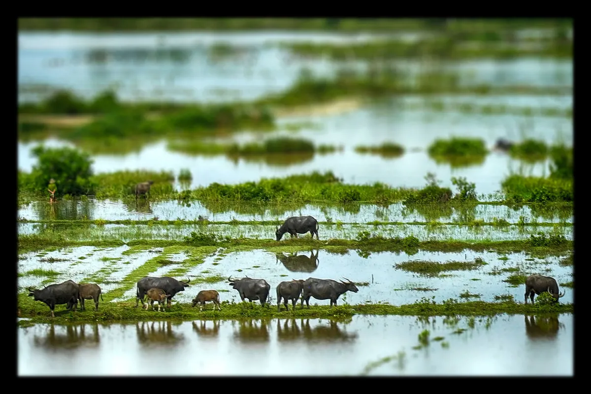 Where They Are and How Far from Hanoi in Northern Vietnam, contextual view for travelers planning a trip in Vietnam