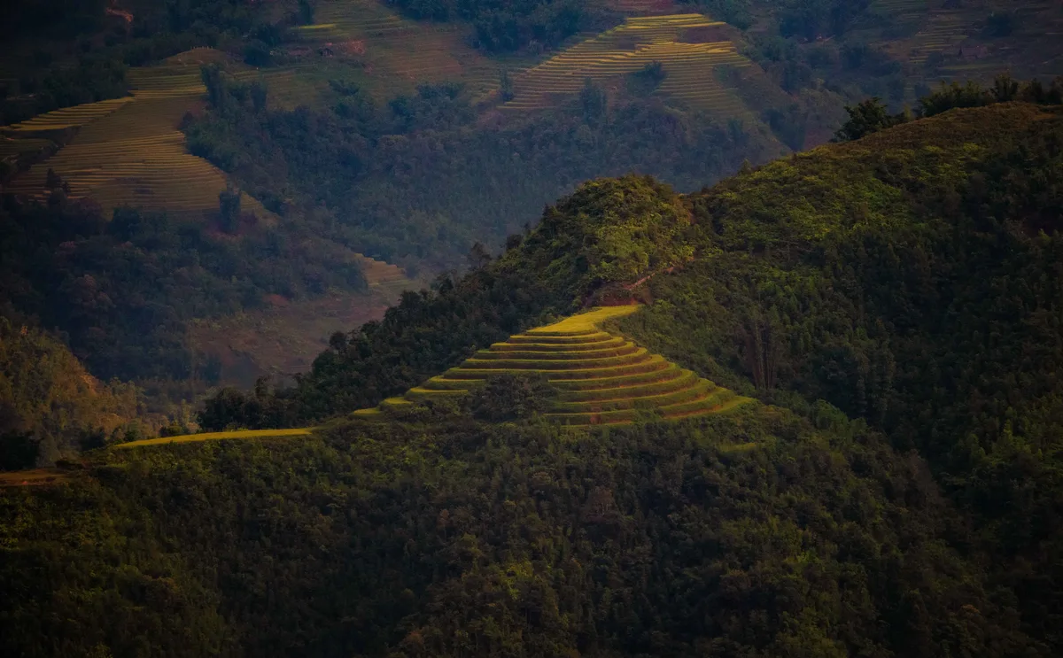 Layered rice terraces descending through the mountain valley around Sapa