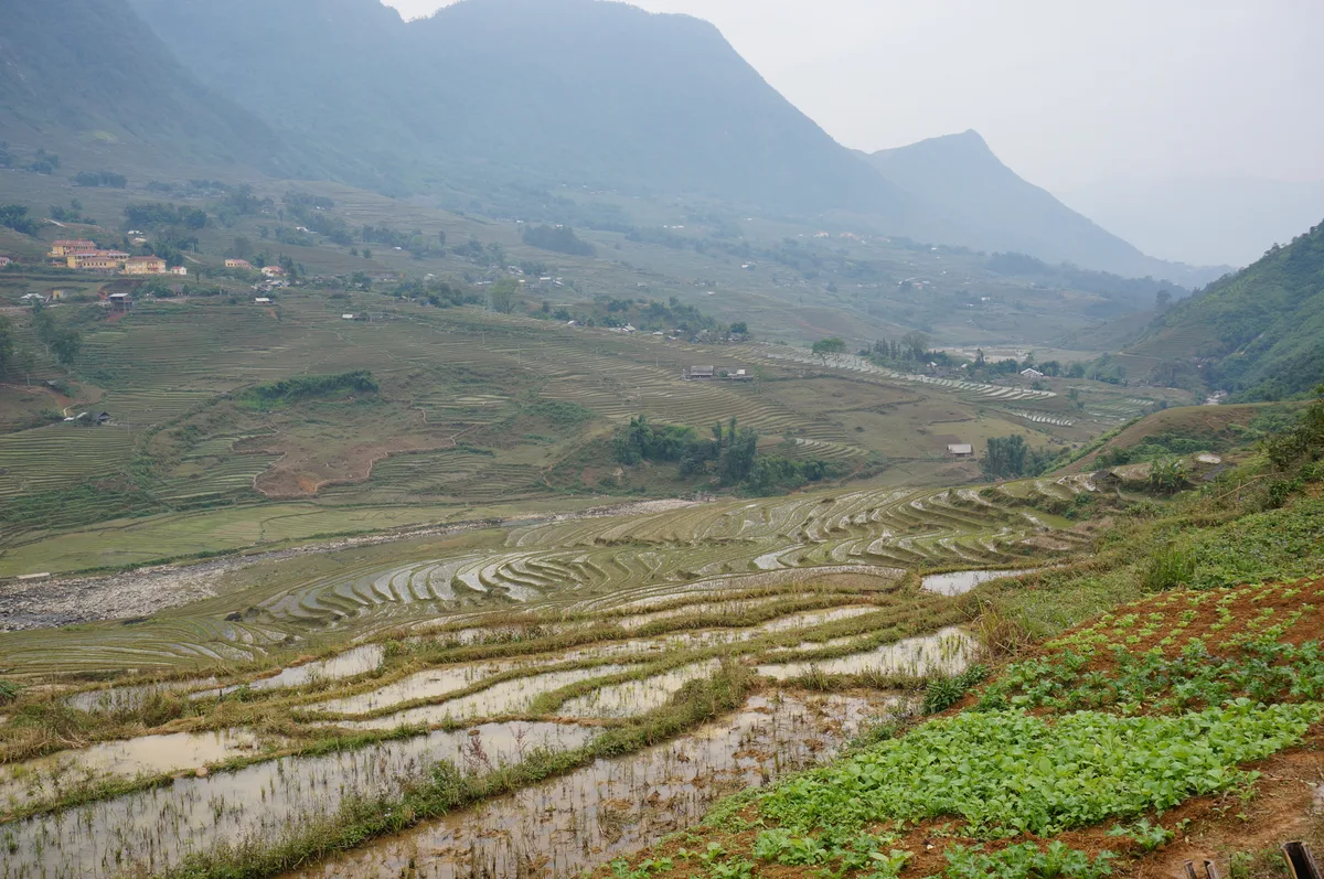 Rice terraces and scattered homes across a broad valley near Sapa