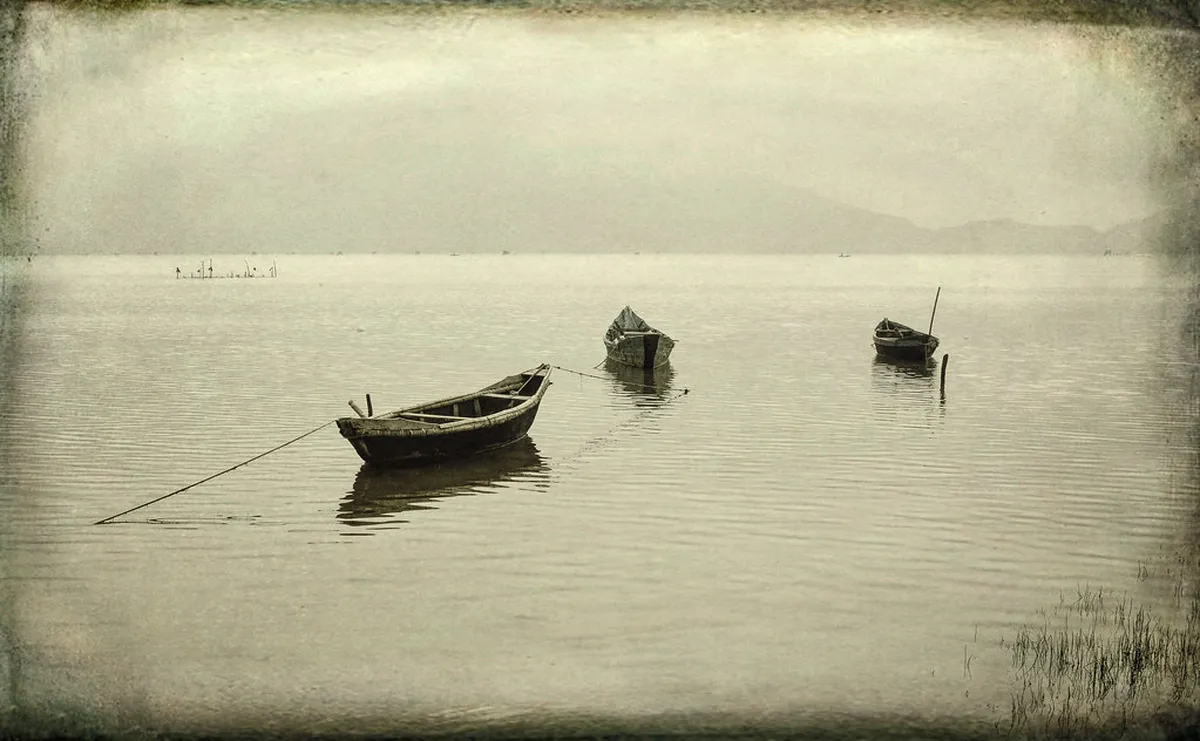 Boats moored on a river somewhere between Da Nang and Hoi An, contextual view for travelers planning a trip in Vietnam