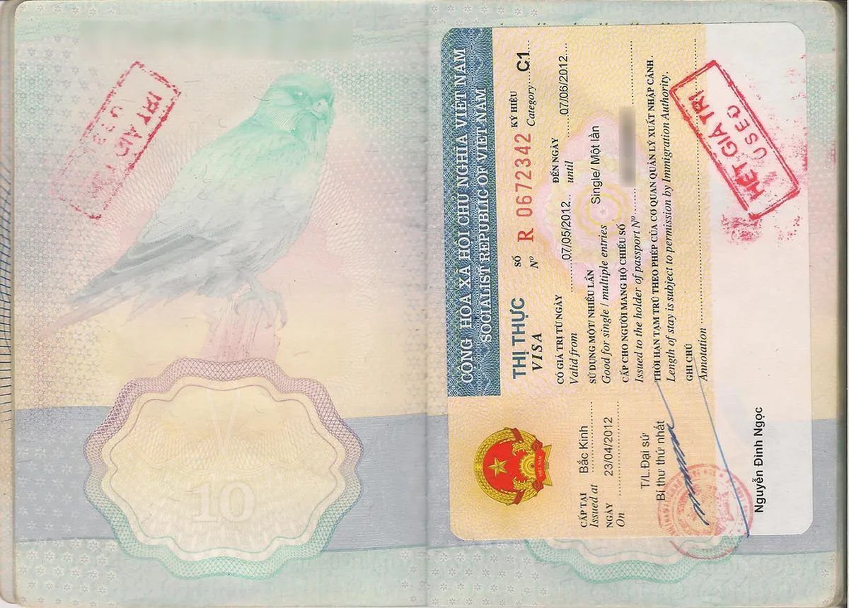 Traveler checking entry documents before a solo journey through Vietnam, contextual view for travelers planning a trip in